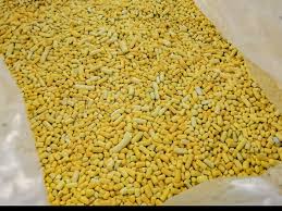 Sodium Butyl Xanthate (SBX)